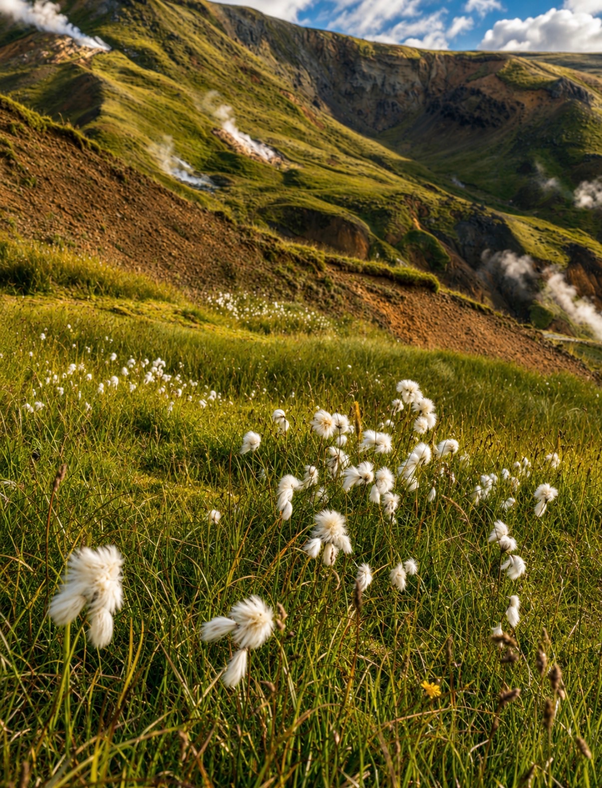 Les détails du paysage